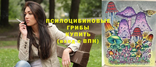 прущая мука Абаза